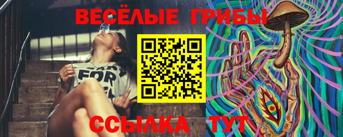 Галлюциногенные грибы ЛСД Городец