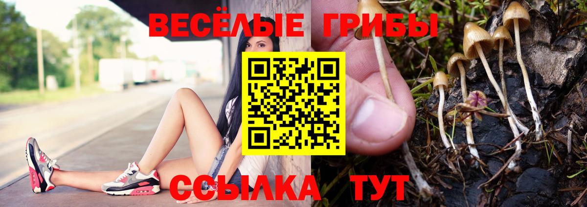 Городец  Галлюциногенные грибы Cubensis  Вход с VPN 